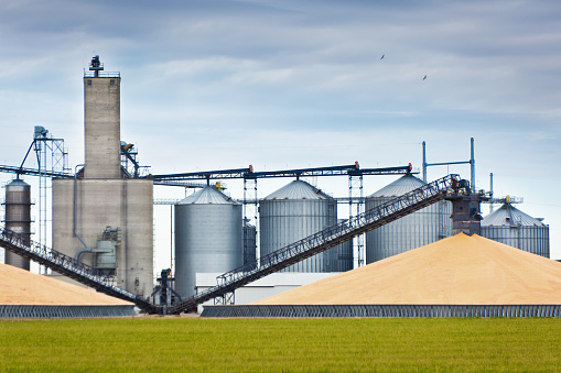 Corn harvest in the fall in the mid-west of USA. The harvesting and processing of the corn crop, the processing facilities doing finishing work on the grain, the product are stored in the grain silos or is shipping out in train cars. Photographed in horizontal format on location in Minnesota, USA.