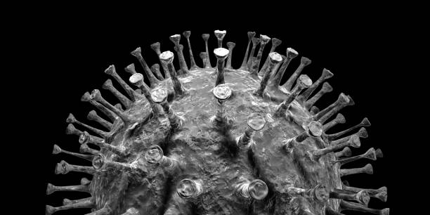 Corona virus Cell magnified 3D stock photo