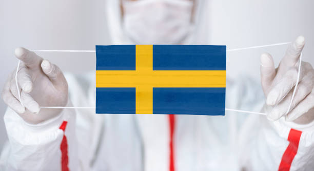 Coronavirus At Sweden Healthcare personnel is holding Swedish Flag shaped surgical mask. swedish flag photos stock pictures, royalty-free photos & images