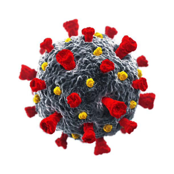 coronavirus-zelle isoliert - covid 19 stock-fotos und bilder