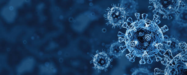 Novel Coronavirus Stock Photos, Pictures & Royalty-Free ...