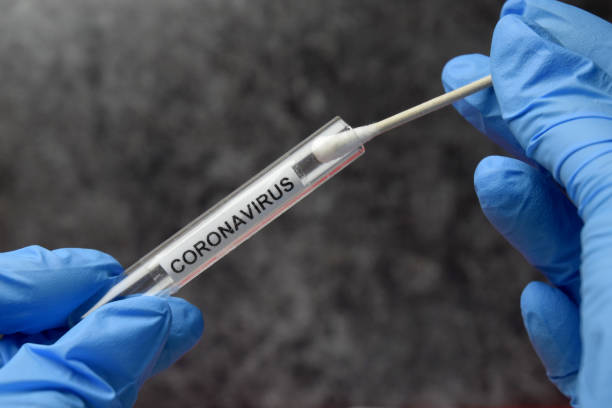 coronavirus - wissenschaftliches experiment stock-fotos und bilder
