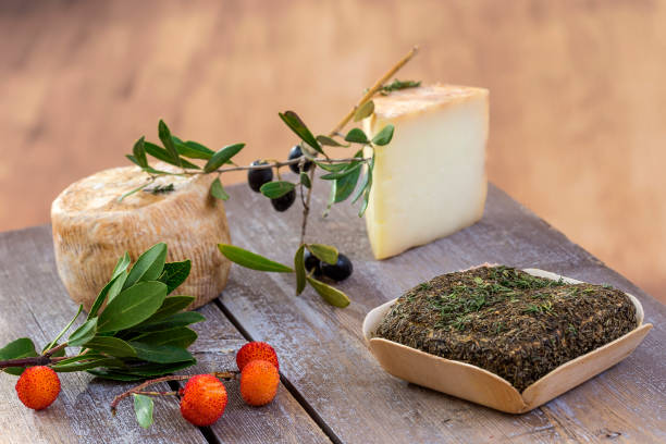 Corsican traditional various goat cheese with arbitys bayberry s on woodenbackground Corsican traditional varity of goat cheese with arbitus bay on a wooden background corsica stock pictures, royalty-free photos & images