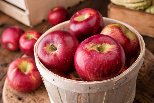 cortland äpfel - apfel stock-fotos und bilder