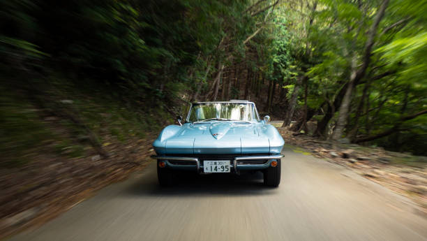 1964 Corvette Stingray on a forest drive Gozaisho mountain forest drive October/25/2020 a classic 1964 Corvette Stingray is driving along a narrow mountain forest road with blurred movement to show to speed of the vehicle. The Chevrolet Corvette is a classic American Muscle car that is still in production today. This one was imported to Japan which is quite rare especially for an old classic in such pristine condition. 1964 stock pictures, royalty-free photos & images