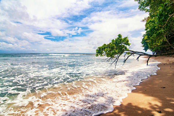Costa Rica Beach stock photo