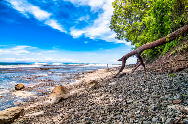 Costa Rica Beach stock photo