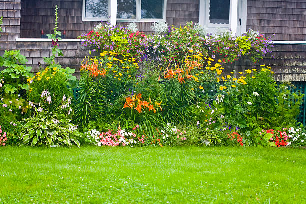 Cottage Garden stock photo