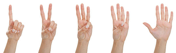 Counting woman hands stock photo