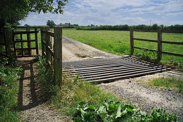 country lane a tarmac country lane or road in a rural environment in the countryside cattle grid stock pictures, royalty-free photos & images