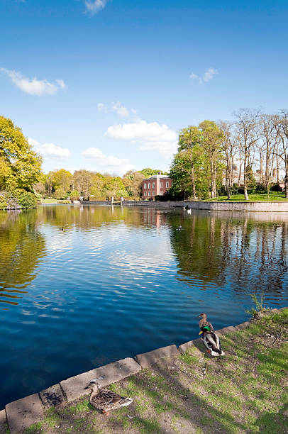 Country Park "Country park with lake, ducks, and English manor house. Vibrant late spring day" cheshire england stock pictures, royalty-free photos & images