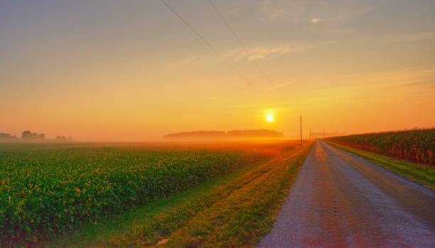 Country Road at Sunrise stock photo