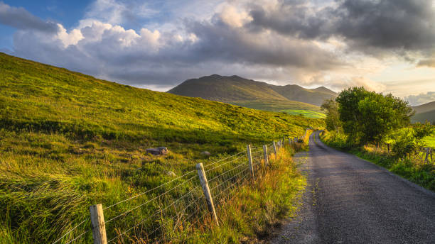 Country road leading toward Carrauntoohil mountain in MacGillycuddys Reeks mountains at sunset Winding country road leading toward highest mountain in Ireland, Carrauntoohil in MacGillycuddys Reeks mountains at sunset, Ring of Kerry, Coomcallee, Ireland county kerry stock pictures, royalty-free photos & images