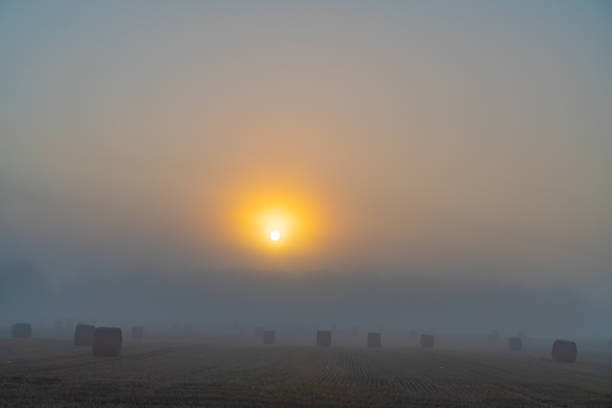 widok na okolicę we porannej mgle o świcie, manchester, port perry, kanada - manchester united zdjęcia i obrazy z banku zdjęć