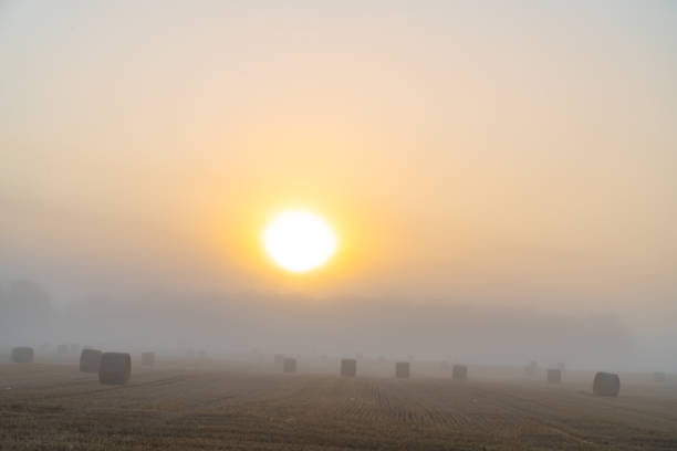 widok na okolicę we porannej mgle o świcie, manchester, port perry, kanada - manchester united zdjęcia i obrazy z banku zdjęć