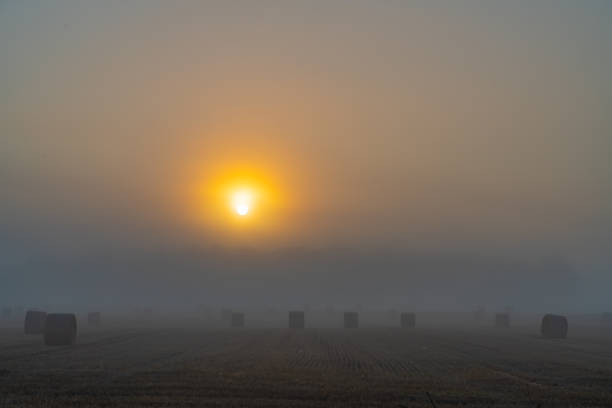 widok wsi w porannej mgle o świcie, manchester, port perry, kanada - manchester united zdjęcia i obrazy z banku zdjęć
