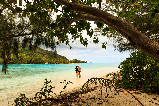 A DSLR photo of a couple kissing each other in a idyllic beach in a deserted island (motu) in Moorea, French Polynesia. There are in shallow water framed under the trunk and leaves of a tree. In the background, across the turquoise clear calm sea, is the main island.