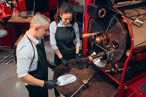 Couple of two baristas checking the quality of the coffee beans standing with scoop near the roaster machine at the roastery. High angle.