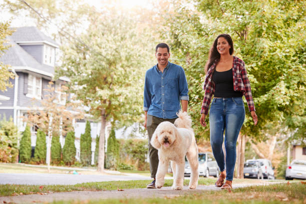 Couple Walking Dog Along Suburban Street Couple Walking Dog Along Suburban Street dog walking stock pictures, royalty-free photos & images