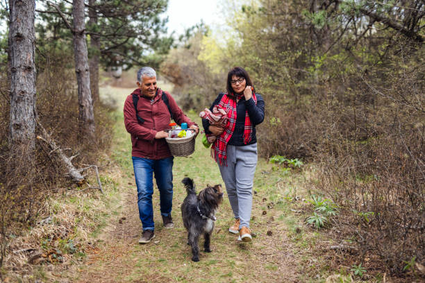 Couple with dog walks in the woods stock photo