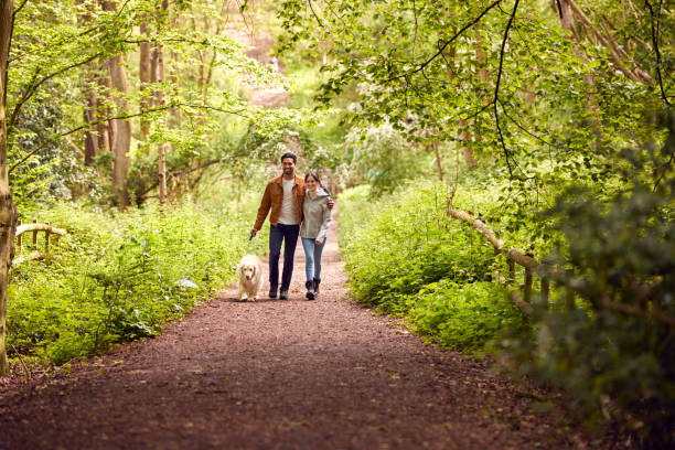 Couple With Pet Golden Retriever Dog Walking Along Path Through Trees In Countryside stock photo
