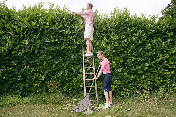 Couple working in garden Amersham, England pruning gardening stock pictures, royalty-free photos & images