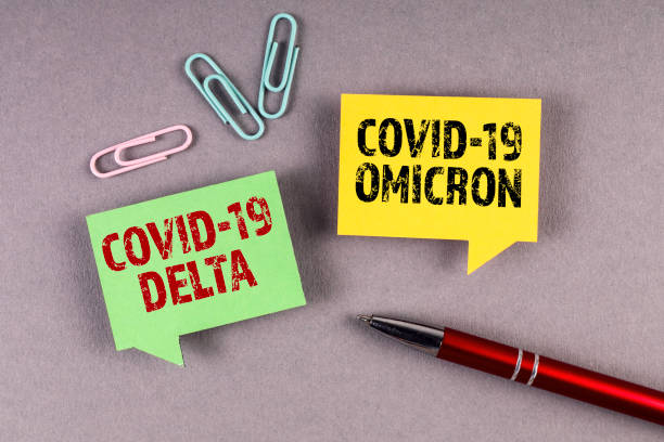 Covid-19 Delta and Omicron. Yellow and green speech bubble on a gray background stock photo