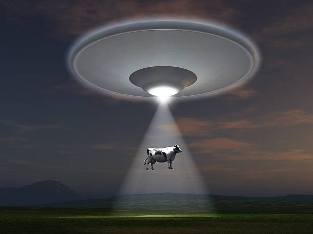 Cow abducted by a UFO stock photo