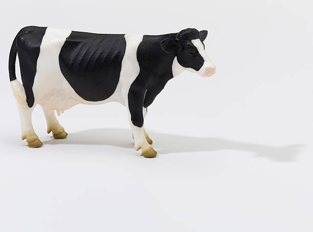 Cow on White stock photo