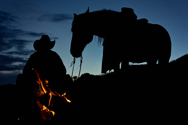 Silhouette Of The Fire Horse Stock Photos, Pictures & Royalty-Free ...