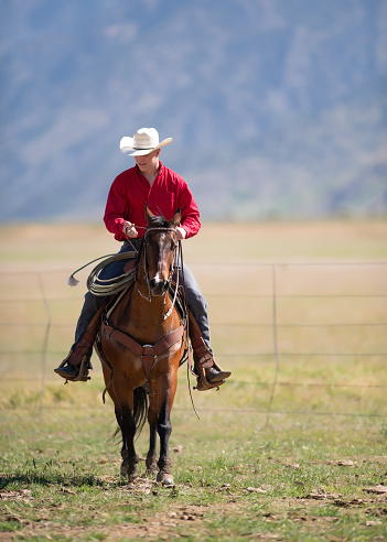 Cowboy Galloping In Utah Usa Stock Photo - Download Image Now - iStock