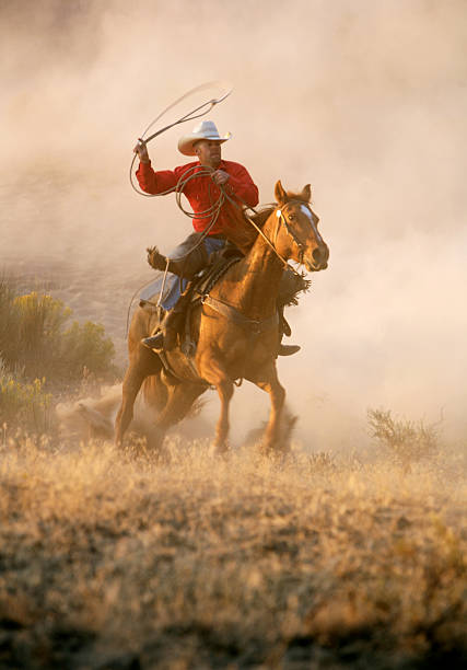 cowboy in action - cowboy horse bildbanksfoton och bilder
