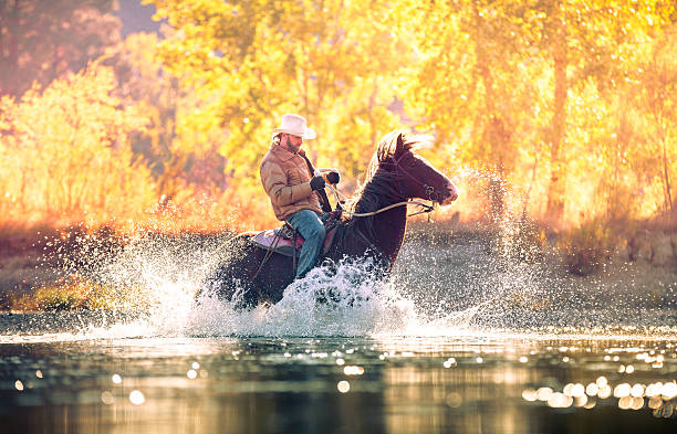 Cowboy rides horse through river on beautiful sunny fall morning stock photo