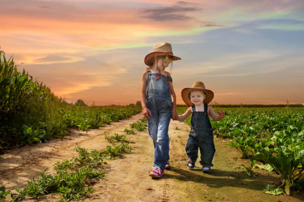 cowboy siblings walking in the fields at sunset stock photo