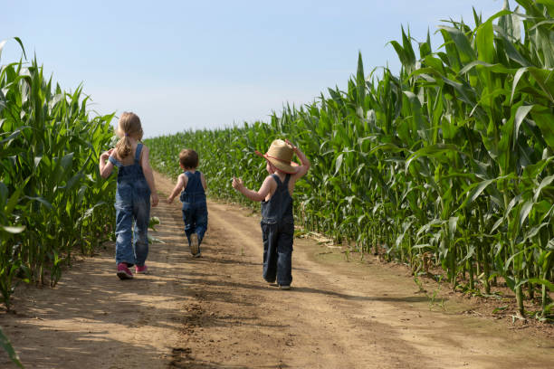 cowboy siblings walking in the fields stock photo