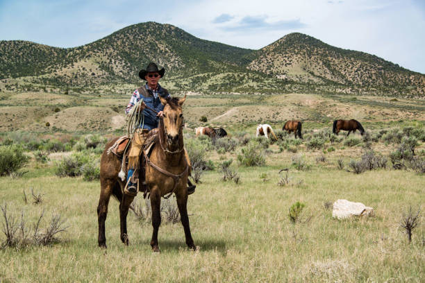 Cowboy wrangler ranch hand on horse with rope watching over horse herd stock photo