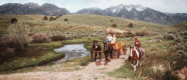 cowboys och cowgirls på hästar - desert cowgirl bildbanksfoton och bilder