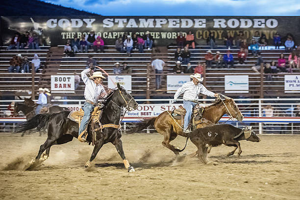 cowboys chasing bull with lasso at rodeo cody wyoming - bull riding photos ...