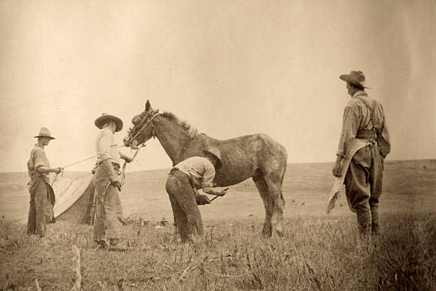 cowboys - geschichtlich fotos stock-fotos und bilder