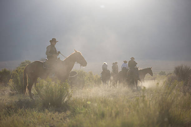 cowboys - desert cowgirl bildbanksfoton och bilder