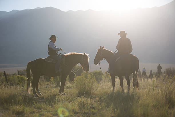 cowboys - desert cowgirl bildbanksfoton och bilder