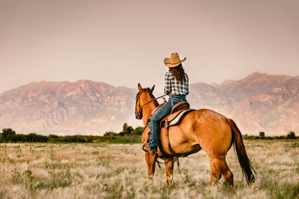 Cowgirl Horseback Riding Cowgirl Horseback Riding in Utah at Sunset ranch stock pictures, royalty-free photos & images