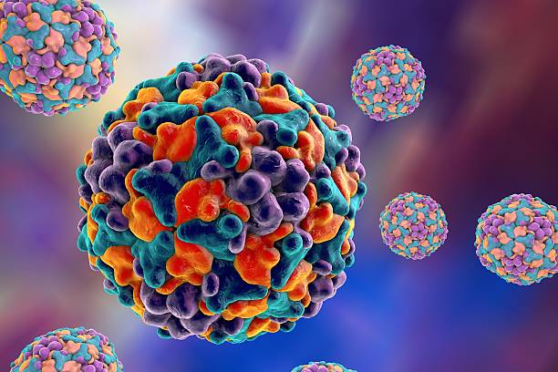 coxsackievirus, a virus which causes respiratory, enteric and brain infections - polio 個照片及圖片檔