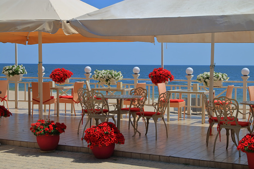 The photo was taken in the city of Odessa in Ukraine. The picture shows a cozy cafe decorated with white and red flowers by the Black Sea.