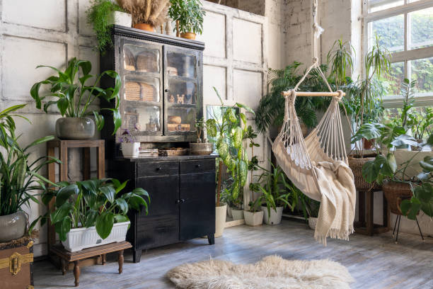 Cozy rope swing in living room with houseplants Cozy rope swing in living room with green houseplants in flower pot and black vintage chest of drawers. Comfort room with furniture in house with modern interior design houseplant stock pictures, royalty-free photos & images