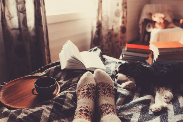 cozy winter day at home with cup of hot tea, book and sleeping dog. Spending weekend in bed, seasonal holidays and hygge concept stock photo