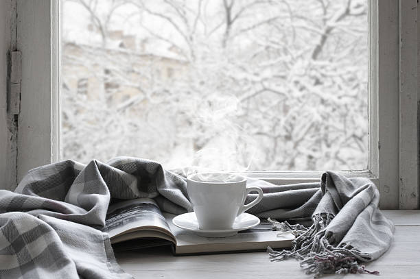 Cozy winter still life Cozy winter still life: cup of hot coffee and opened book with warm plaid on vintage windowsill against snow landscape from outside. window sill photos stock pictures, royalty-free photos & images
