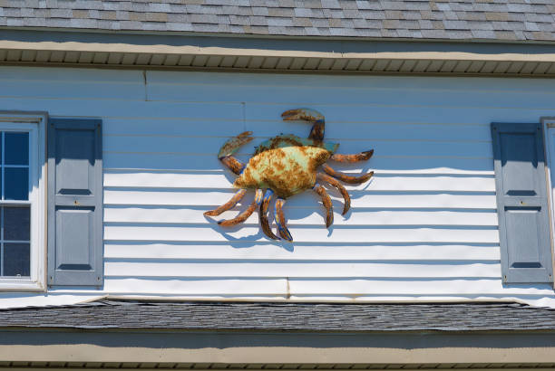 Crab Artwork, Tangier Island, Virginia Tangier Island, Virginia / USA - June 21, 2020: A huge, rusting metal piece of art in the shape of a blue crab adorns a home on Main Street in this popular tourist destination in the Chesapeake Bay. tangier island stock pictures, royalty-free photos & images