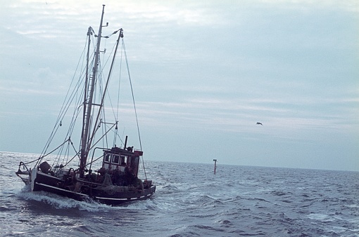 St. Peter Ording, Sylt, Schleswig Holstein, Germany, 1974. Crab cutter in front of the island of Sylt.