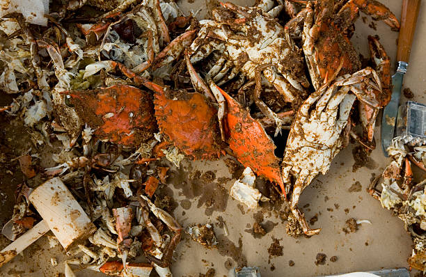 crab picking stock photo